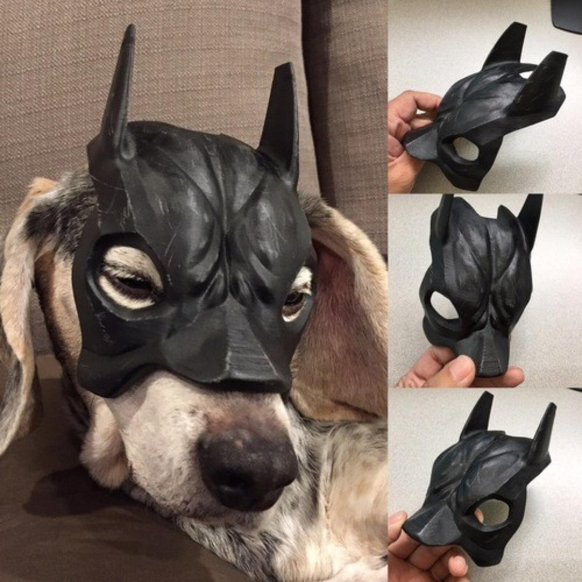 Bat-Cat Mask | Fun Superhero Costume Accessory for Pets Dogs Cats