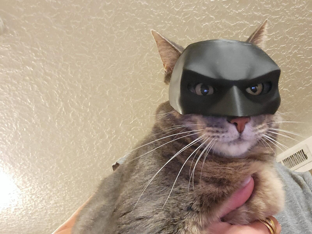 Batman Inspired Cat Mask | 3D Printed Cosplay/Display Prop