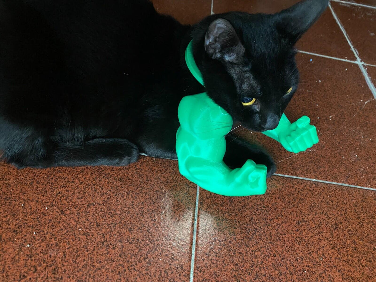 Funny Hulk-style arms for pets