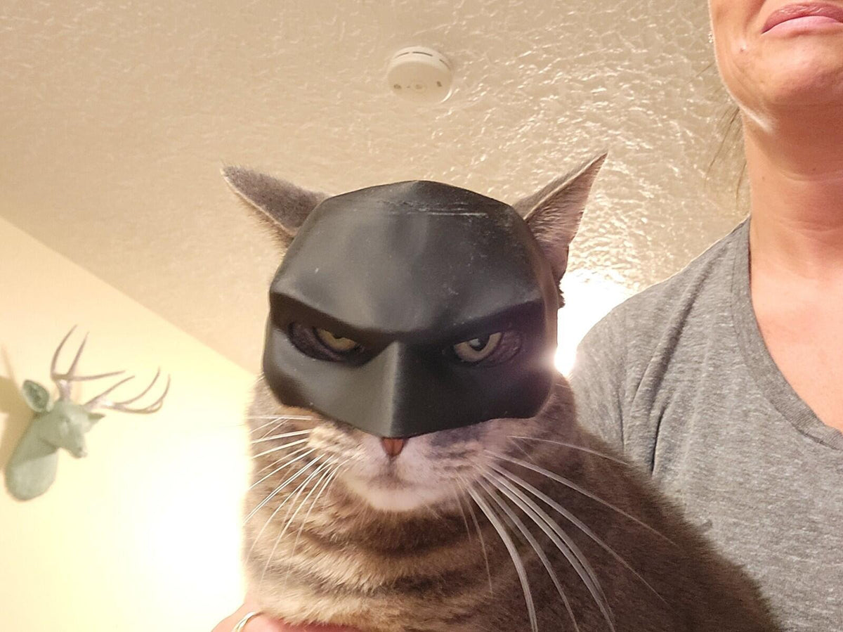 Batman Inspired Cat Mask | 3D Printed Cosplay/Display Prop