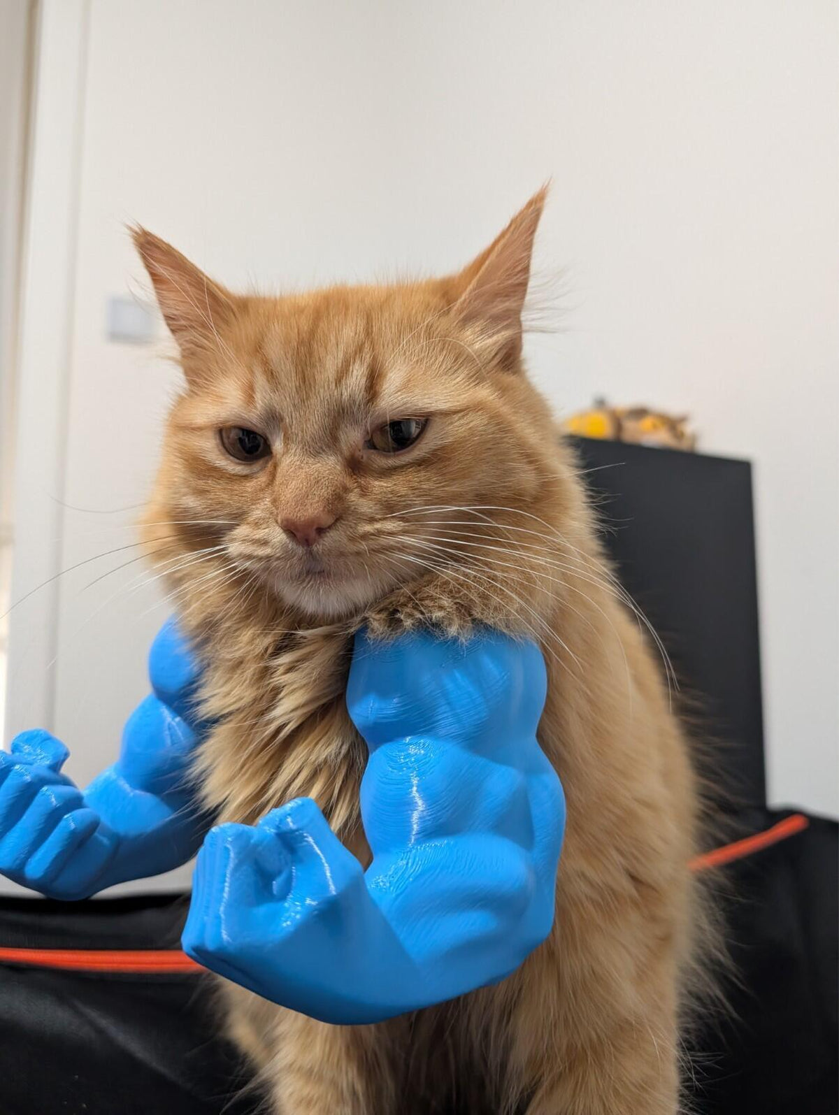 Funny Hulk-style arms for pets