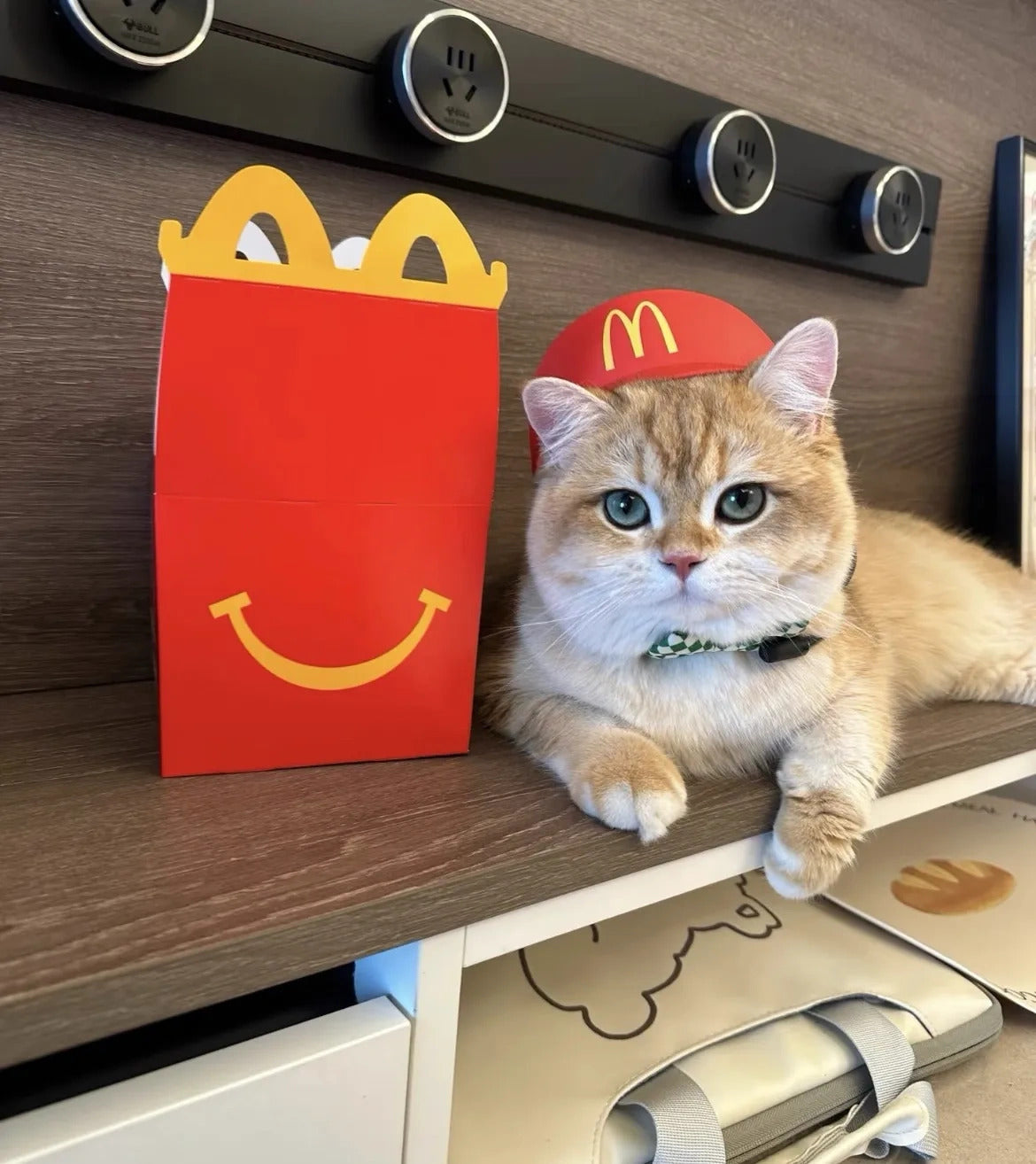 3D Printed McDonald’s Style Pet Hat + Headset Set
