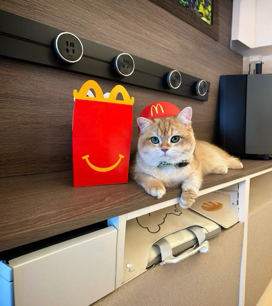 3D Printed McDonald’s Style Pet Hat + Headset Set