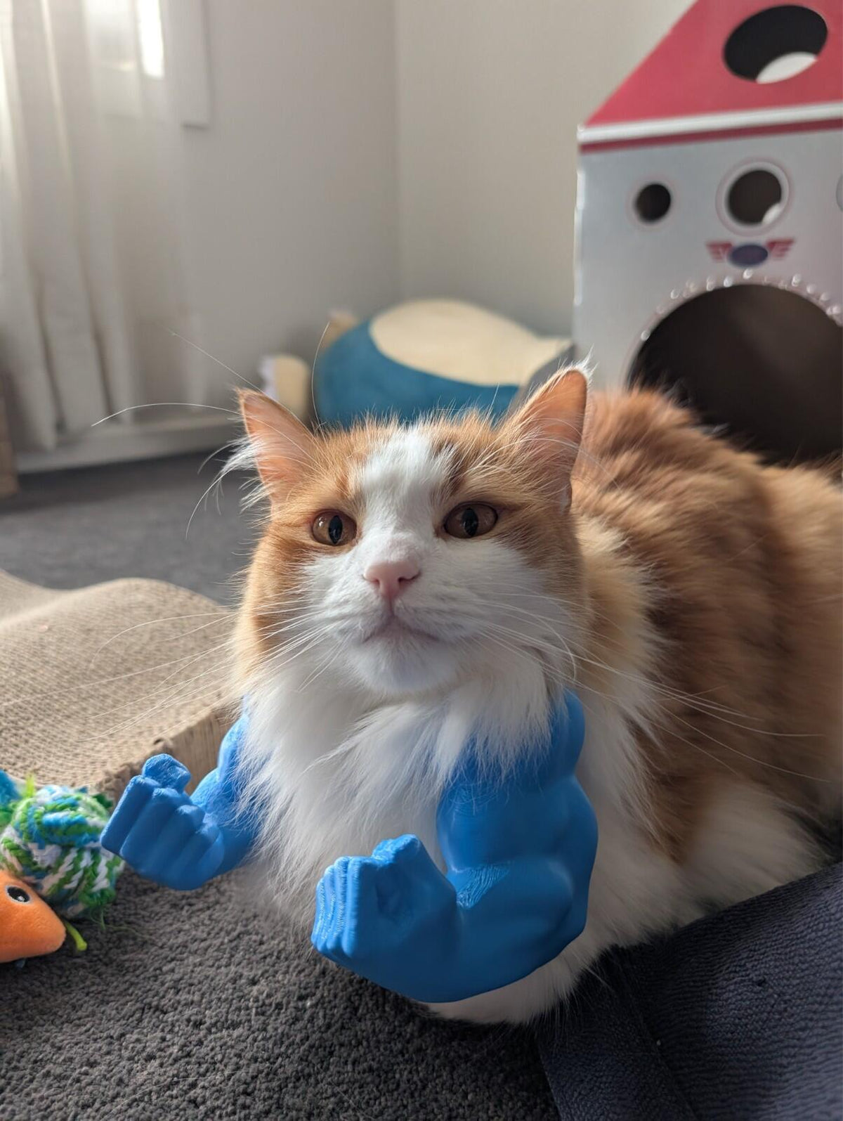 Funny Hulk-style arms for pets