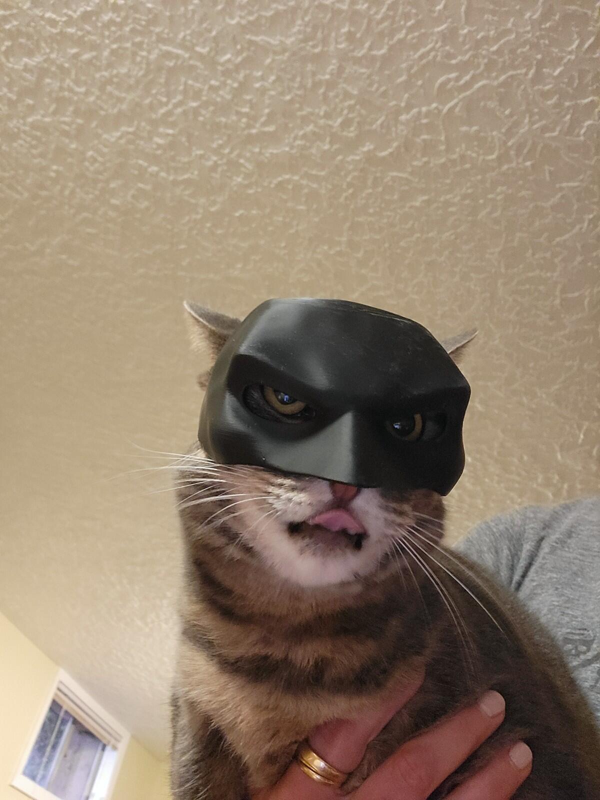 Batman Inspired Cat Mask | 3D Printed Cosplay/Display Prop