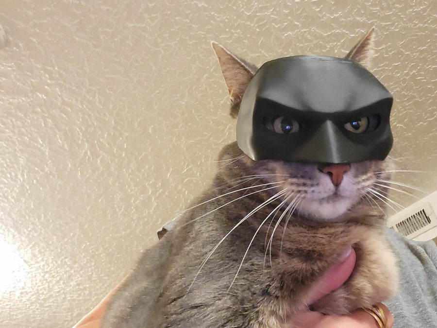 Batman Inspired Cat Mask | 3D Printed Cosplay/Display Prop