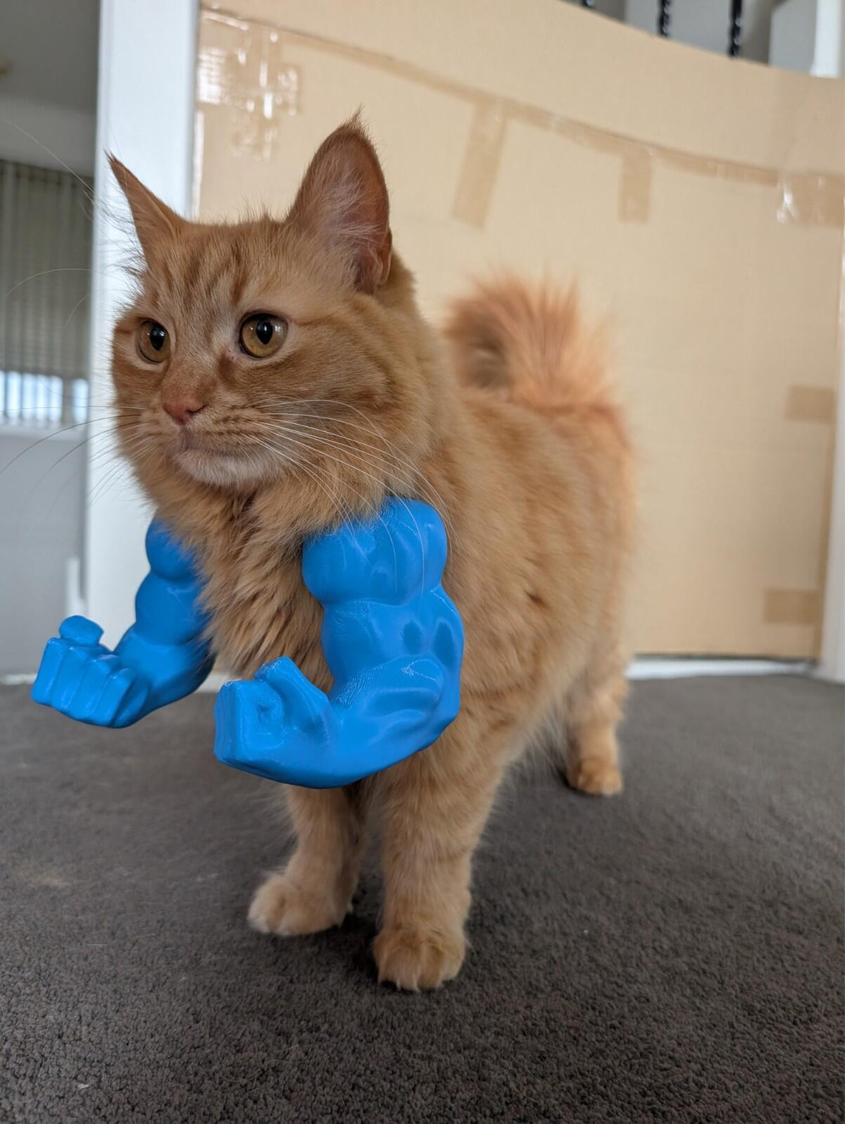 Funny Hulk-style arms for pets