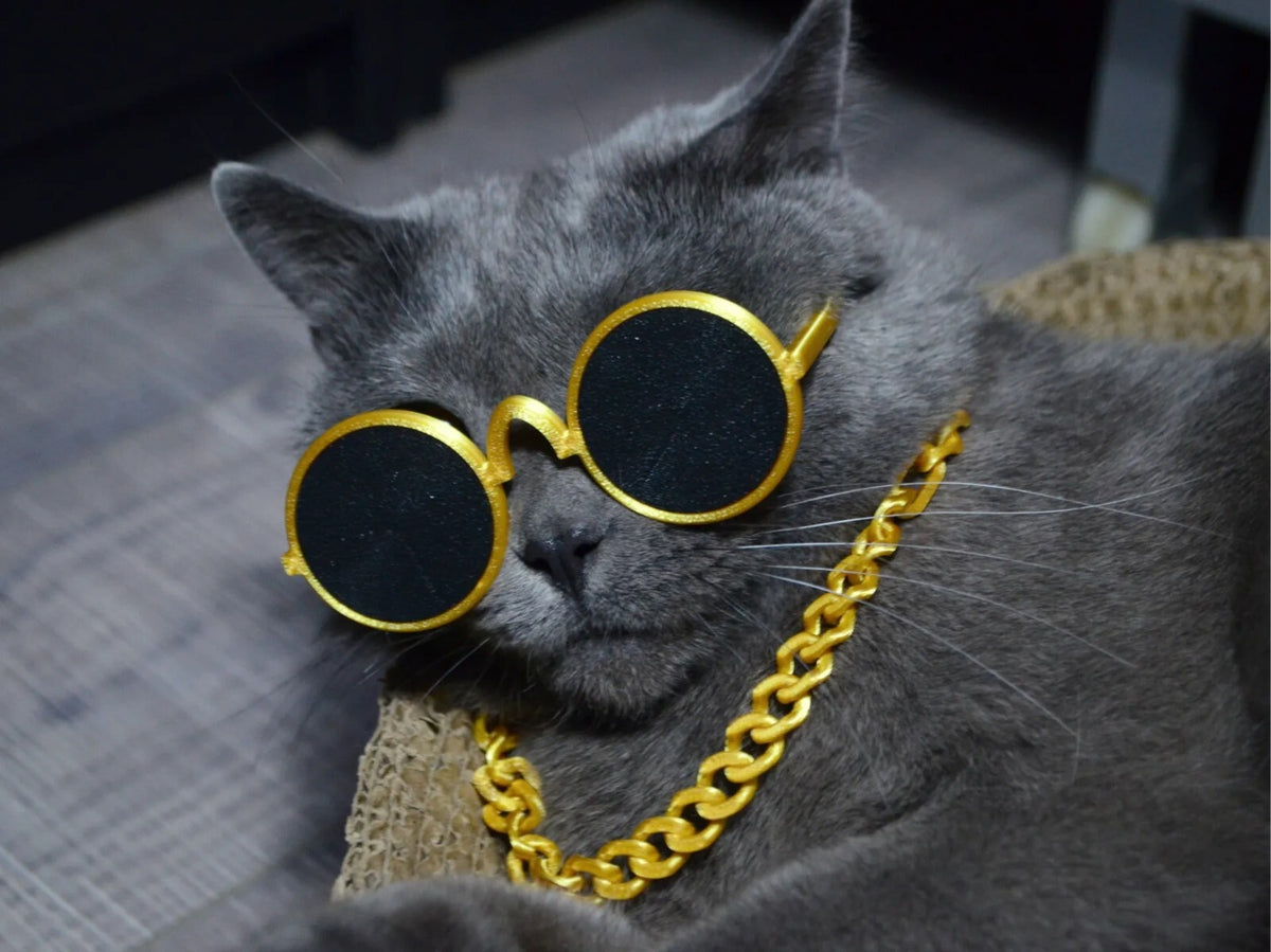 Funny Cat Gold Chain & Sunglasses Set Pet Costume Accessories Hip Hop Photo Prop