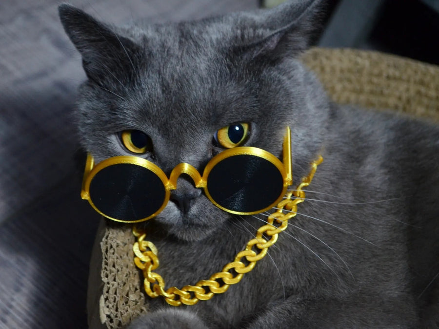 Funny Cat Gold Chain & Sunglasses Set Pet Costume Accessories Hip Hop Photo Prop